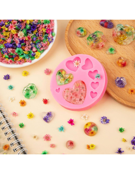 710 Flores Secas Naturales LGFMGWH para Manualidades y Uñas