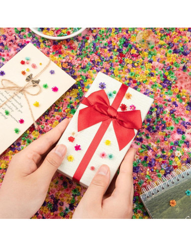 710 Flores Secas Naturales LGFMGWH para Manualidades y Uñas