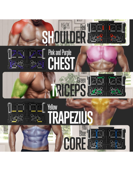 Tabla de Flexiones Portátil SQUATZ con Bandas de Resistencia