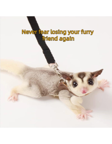 Bolsa de Transporte MANON ROSA para Gliders y Reptiles Rosa