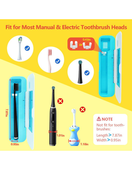 Estuche Desinfectante para Cepillos de Dientes TYPLFH Azul - Carga USB y Baterías AA