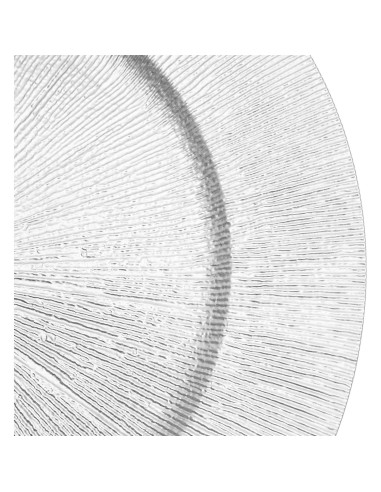 Set de 50 Platos Cargadores Redondos Cashewnuts 33cm Plata