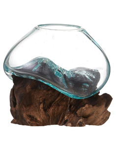 Terrario de Vidrio Reciclado Cohasset 11.4 cm para Plantas