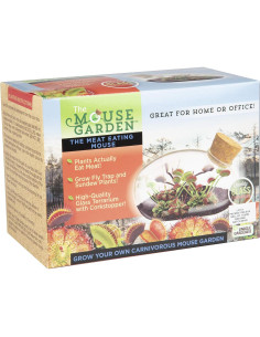 Kit de Terrario de Vidrio Unique Garden Jardín Carnívoro 2