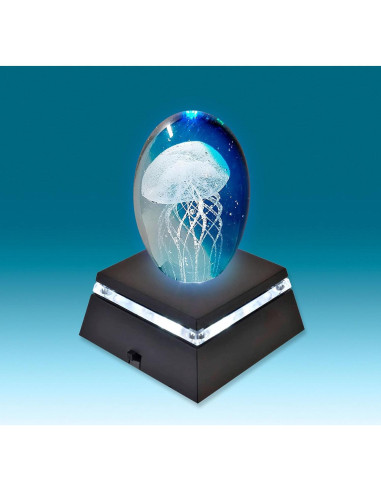 Base de Exhibición LED Asente - Paquete de 2 Luces Blancas 6.35cm