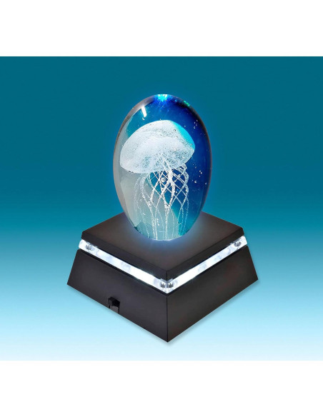 Base de Exhibición LED Asente - Paquete de 2 Luces Blancas 6.35cm