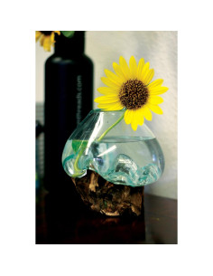 Terrario de Vidrio Reciclado Cohasset 11.4 cm para Plantas 2