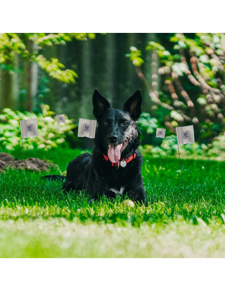 Batería de Reemplazo 6V PetSafe RFA-67 - Paquete de 2