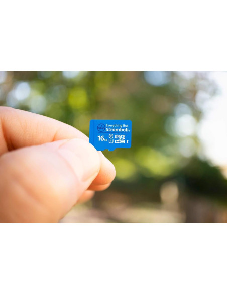 Paquete de 5 Tarjetas MicroSD 16GB Todo Menos Stromboli Clase 10