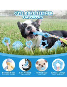 Set de 6 Juguetes para Cachorros ABRRLO - Masticar y Jugar 2