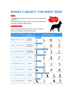 Collar Cono Suave para Perros Pequeños Inspack - Ecollar Postoperatorio 2