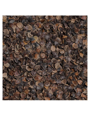 Relleno de Cáscaras de Trigo Sarraceno Orgánico Bean Products 2.27 kg