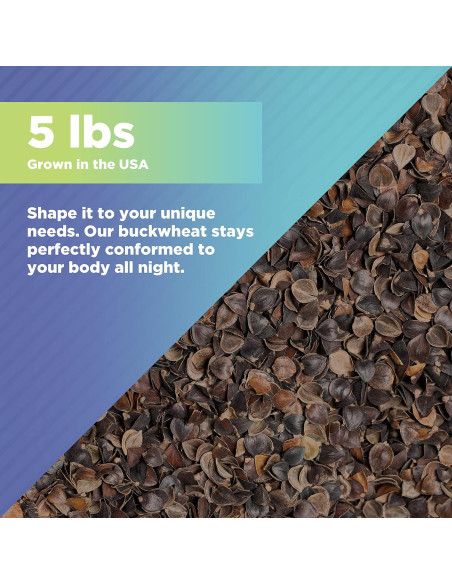 Relleno de Cáscaras de Trigo Sarraceno Orgánico Bean Products 2.27 kg