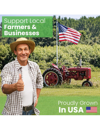 Relleno de Cáscaras de Trigo Sarraceno Orgánico Bean Products 2.27 kg