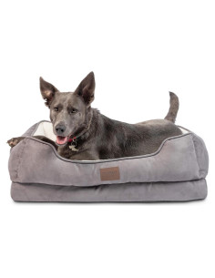 Cama Ortopédica para Perros Mediana Pet Craft 76.2x50.8cm