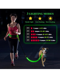 Correa LED Manos Libres para Perros Vizbrite Verde 0.5kg 2