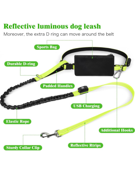 Correa LED Manos Libres para Perros Vizbrite Verde 0.5kg