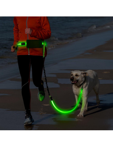 Correa LED Manos Libres para Perros Vizbrite Verde 0.5kg