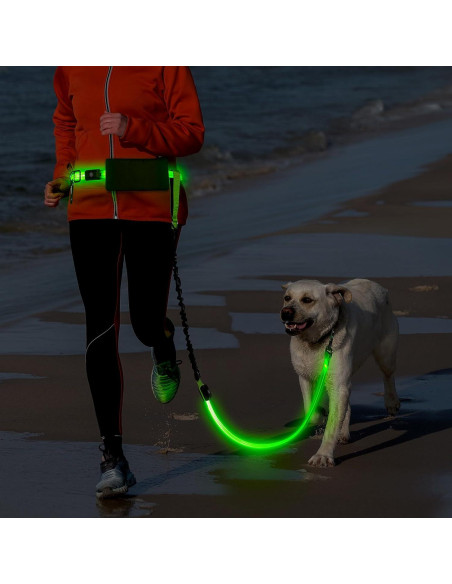 Correa LED Manos Libres para Perros Vizbrite Verde 0.5kg