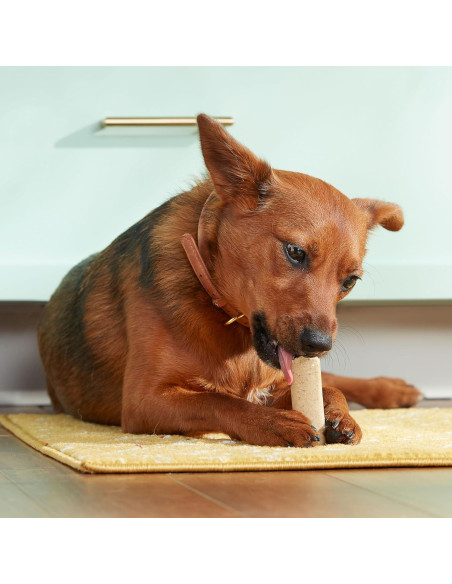 Masticables para Perros Rachael Ray Nutrish Soup Bones 22 Unidades