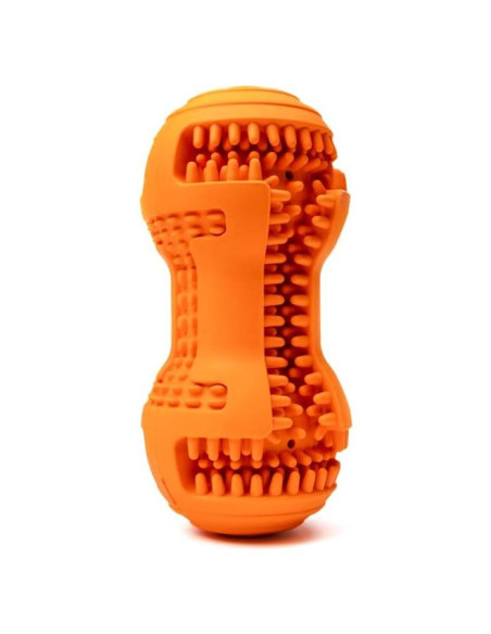 Juguete Rellenable para Perros EA Worldwide Express - Limpieza Dental