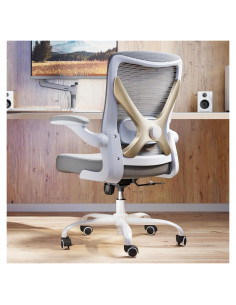 Silla de Oficina Ergonómica Ergalithic X100-2 Gris Dorado 150 kg
