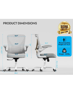 Silla de Oficina Ergonómica Ergalithic X100-2 Gris Dorado 150 kg 2