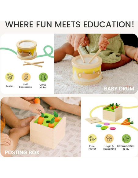 Juego Montessori Tiny Land 7 en 1 para Bebé 13-15 Meses