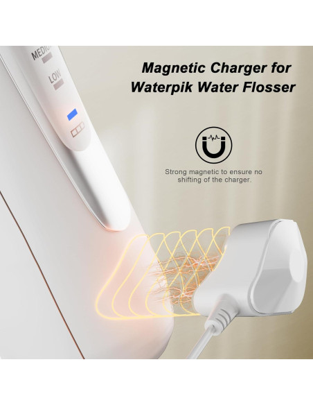 Cargador Magnético Waterpik WP-560 WP-562 WP-563 Negro 1.8m