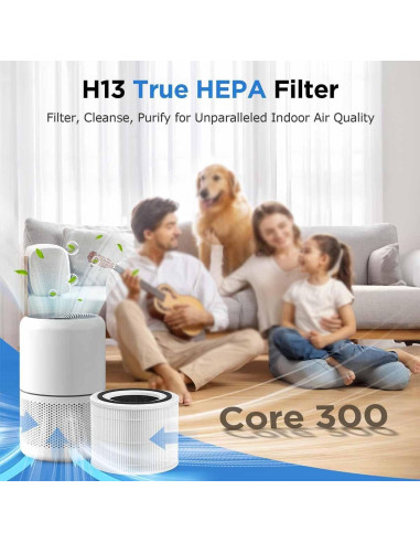 Filtro de Reemplazo 2x para Purificador LEVOIT Core 300 H13