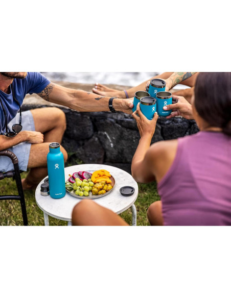 Botella de Vino Hydro Flask 740 ml Aislada Acero Inoxidable