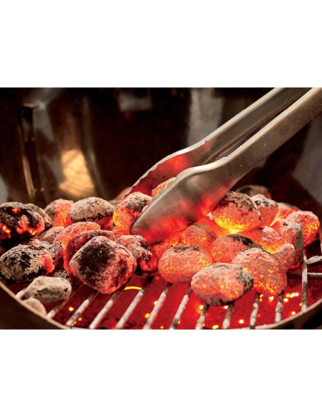 Parrilla de Carbón Weber Performer 22" Negra con Mesa Plegable