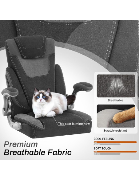 Silla de Oficina Ergonómica BLISNEST con Soporte Lumbar Ajustable