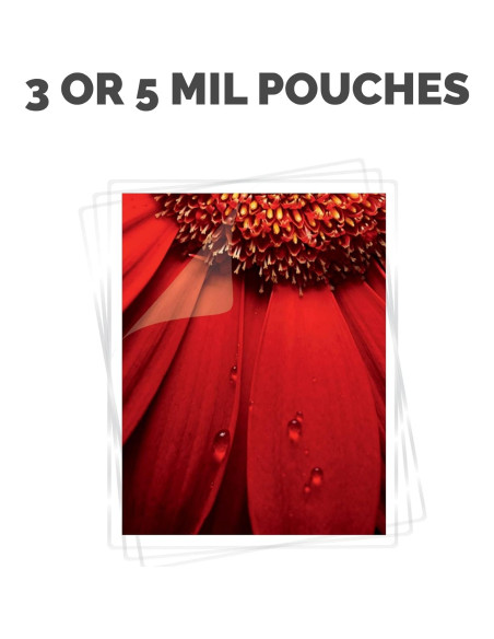 Laminadora Fellowes Spectra 95 24.1 cm Plata/Negro