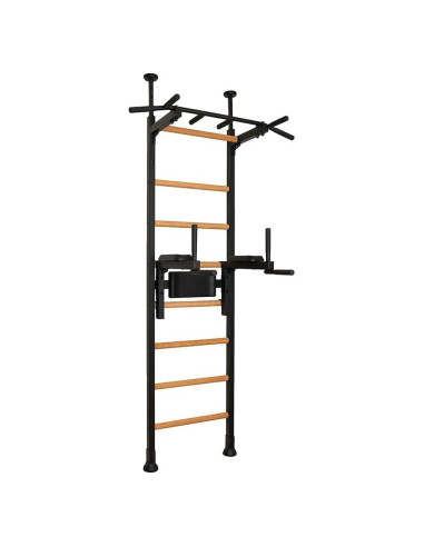 Barra de Dominadas BenchK 522B con Soporte de Espalda