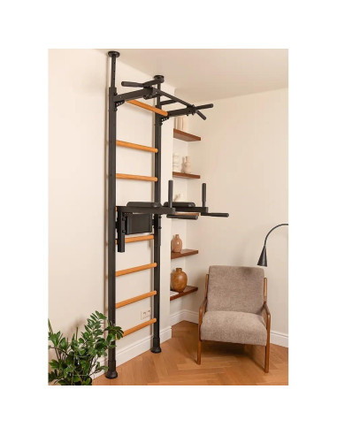 Barra de Dominadas BenchK 522B con Soporte de Espalda