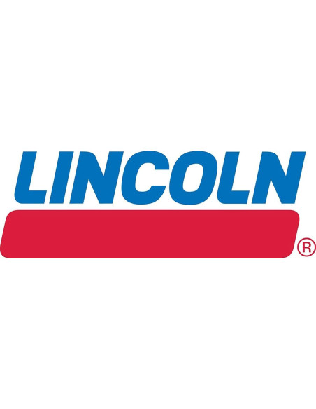 Bomba de Grasa Neumática Lincoln 917 50:1 54.43 kg 7 pies