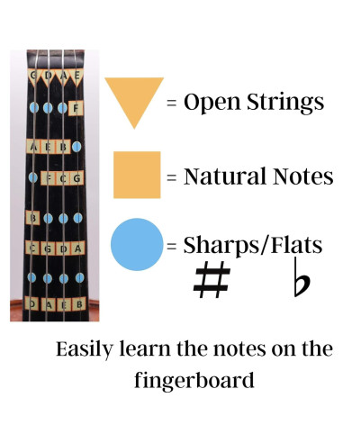 Guía de Dedos para Violín 1/2 Weston - Calcomanías para Notas