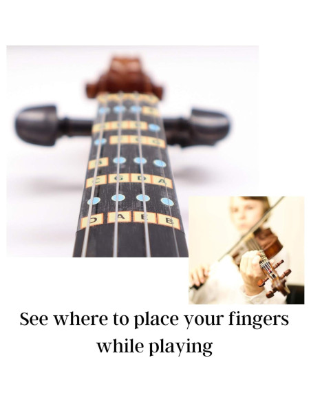 Guía de Dedos para Violín 1/2 Weston - Calcomanías para Notas