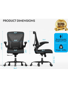 Silla de Oficina Ergonómica Ergalithic X100-2 con Soporte Lumbar 2