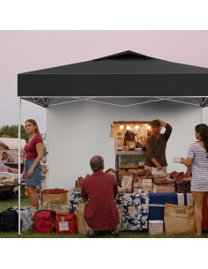 Carpa portátil DYTesa 3x3m con pared lateral y accesorios 2