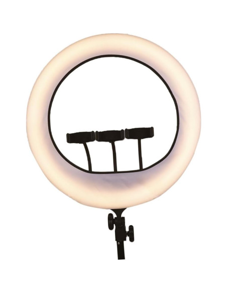 Difusor de Luz en Anillo NUOBESTY 37x12.5cm para Fotografía