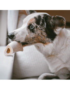 Hueso de Espinilla Relleno Cadet para Perros Pequeños - 7.6-10.2 cm 2