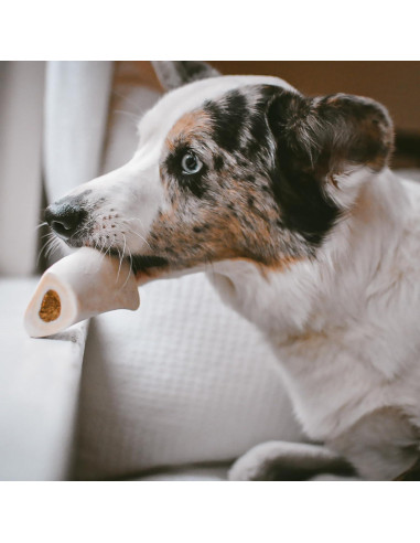 Hueso de Espinilla Relleno Cadet para Perros Pequeños - 7.6-10.2 cm