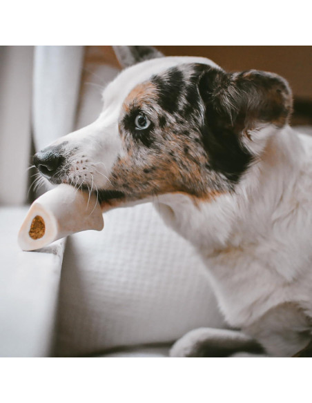 Hueso de Espinilla Relleno Cadet para Perros Pequeños - 7.6-10.2 cm