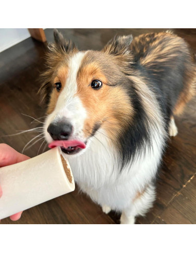 Hueso de Espinilla Relleno Cadet para Perros Pequeños - 7.6-10.2 cm