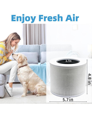 Paquete de 2 Filtros HEPA H13 Demiwise para Purificador Levoit Mini