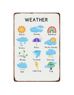 Cartel Decorativo de Pared XIAJVS 20x30 cm Aluminio Vintage