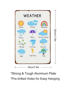 Cartel Decorativo de Pared XIAJVS 20x30 cm Aluminio Vintage 2