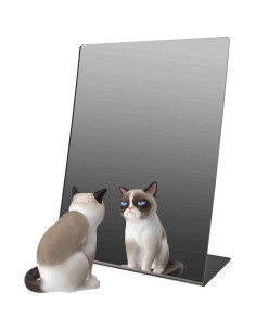 Espejo Acrílico de Caballete Inclinación 23x30.5 cm Marketing Holders 2